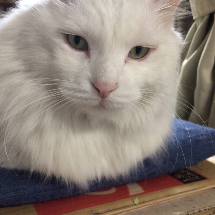 199229ef d5c5 41a1 b13d 3b7631dbce29 1512685691427