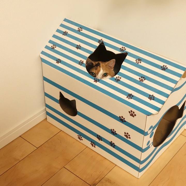 19925d74 c201 43d3 a359 17f456b85c8f 1541429011790