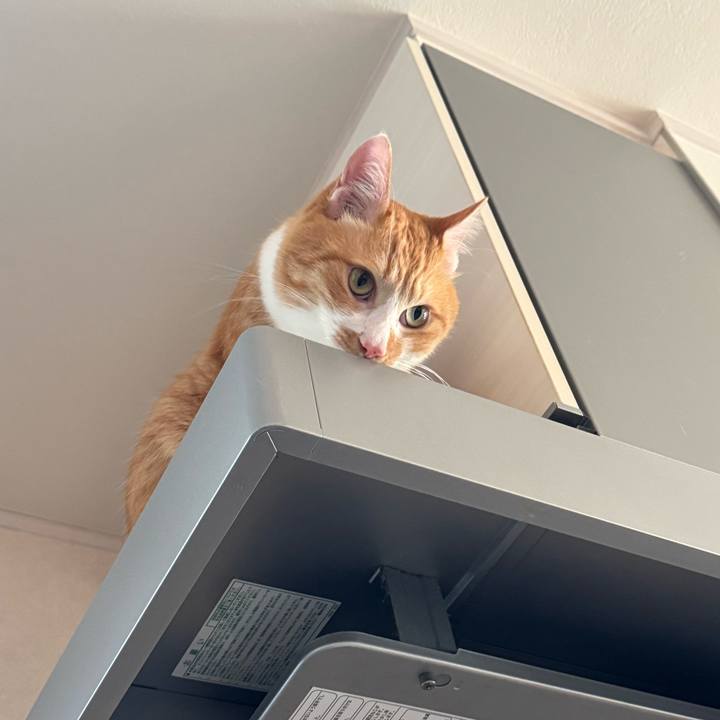 1992a134 1e31 4b07 bbd5 c15d793a794c 1770002793207