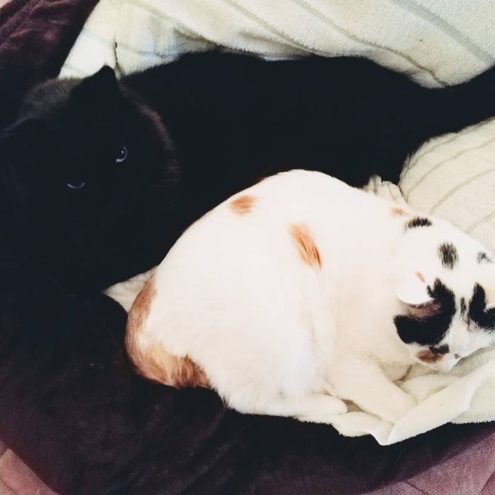 1992d33a 3d28 4a35 bb46 8be768d3ac46 1651624313227