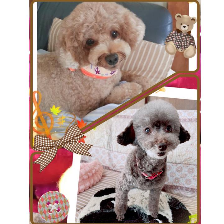 1992e18d 13e0 4231 8fd8 1075ee481bf6 1727415189377