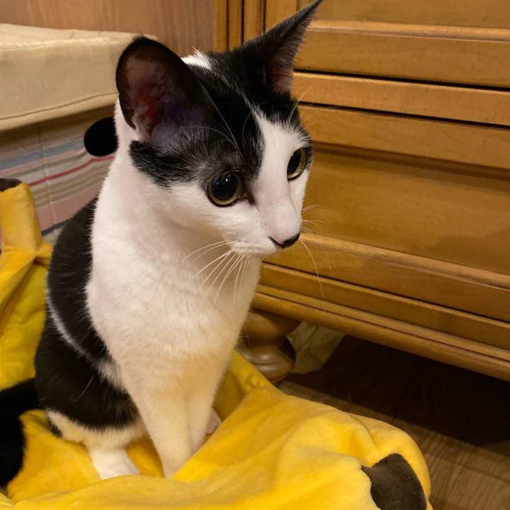 1992f31c 3541 4187 826e 0d87f9eb6c0e 1570725334924