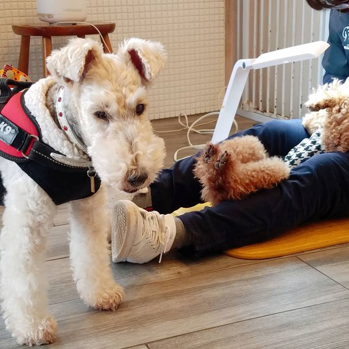 1992f485 f0cc 4020 a1ee f314add79923 1581750710338