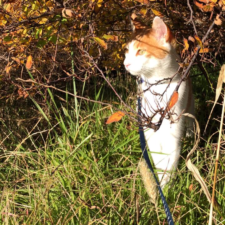 1993127e 9dad 4216 90d0 319a96603f84 1542530544803