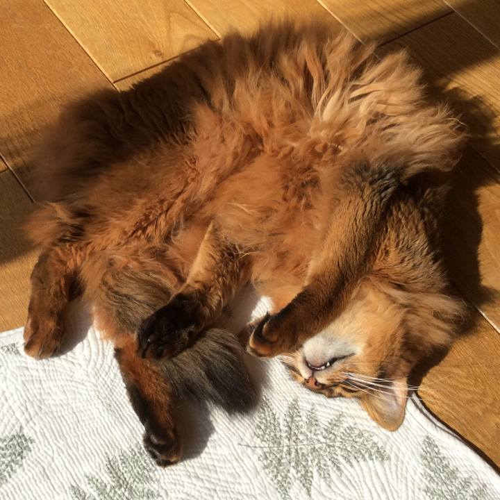 19933b4b ad25 417a 859b abe17c62bc65 1605582169228