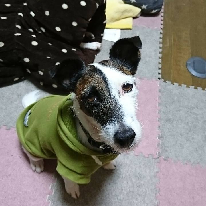 199340c1 a3f2 481f ab82 887fe631925e 1544998038327