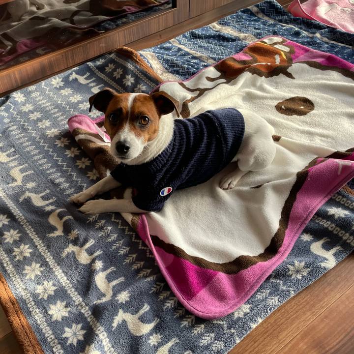 19937316 a21a 4ebd a12c 5092ed799a39 1643584984135