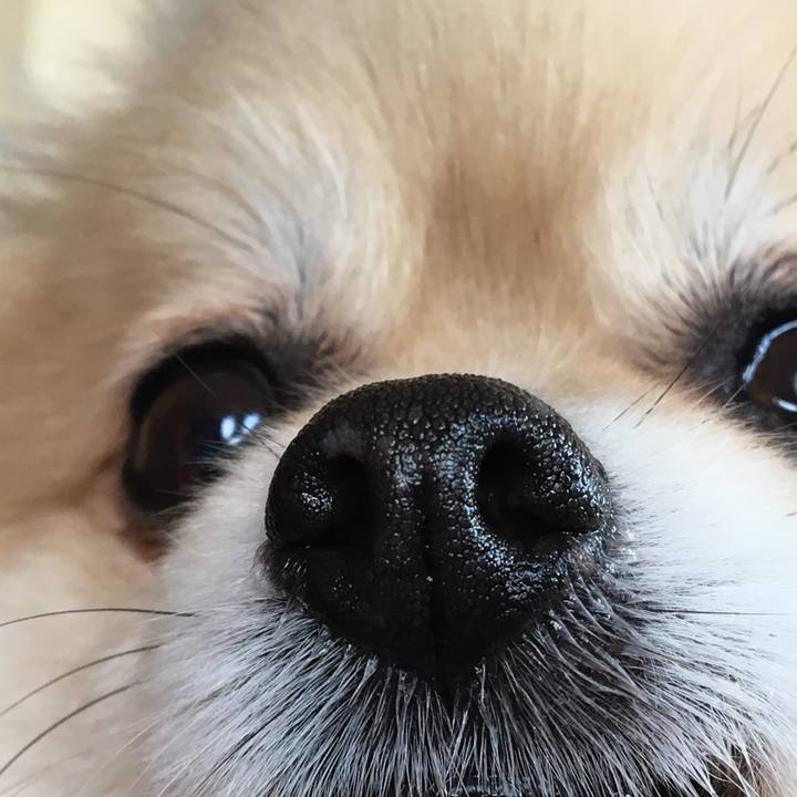 19937c5f f3bb 4cf1 af57 674c10cd9787 1523491718593