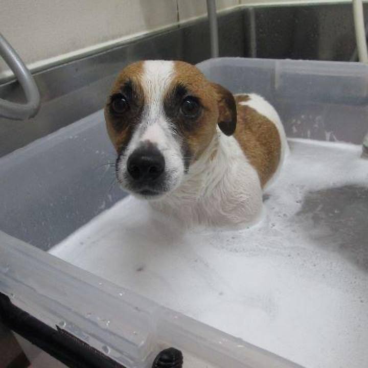 1993c6ac c74b 44f5 b1bf 7a059f3d0f76 1677806169130