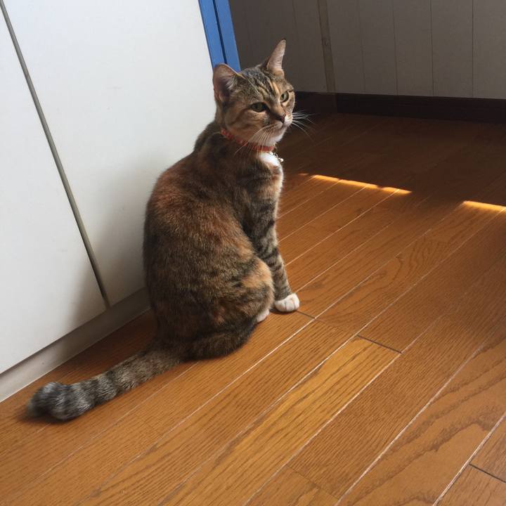 1993d2e7 b47a 4685 b502 428cbcb5e7b2 1555735797765