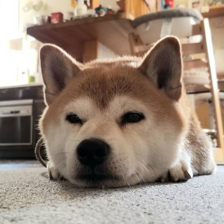 1993d921 a6a0 412f 882c 8930103dfdf0 1597537215938