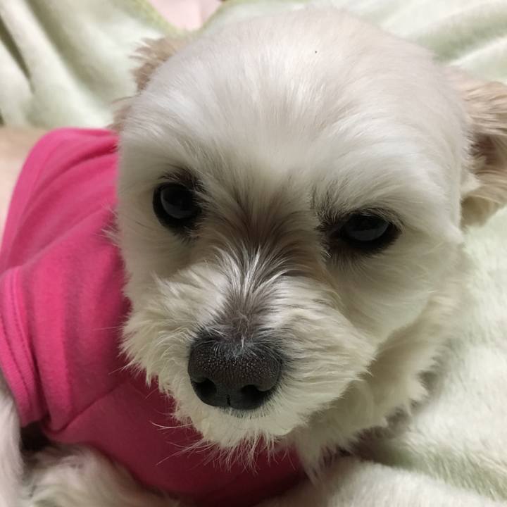 19943cc1 8169 44ee b6a5 01585dc4bc92 1518521936181