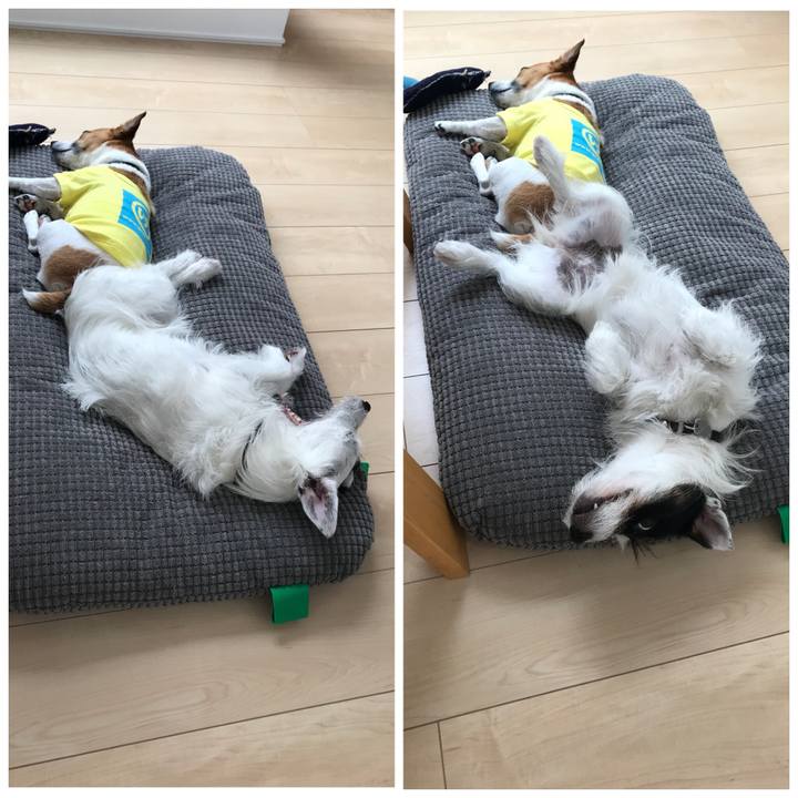 199457a0 1044 4be5 9e4d f3b0ea0615c9 1528242096522