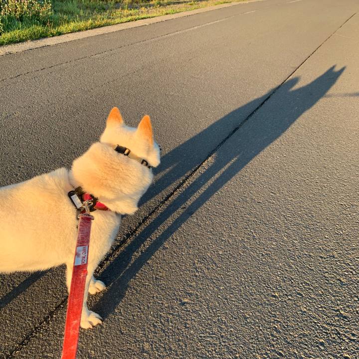 19948ed8 ab33 4fa7 a9e7 a26dad994f2a 1598131524996