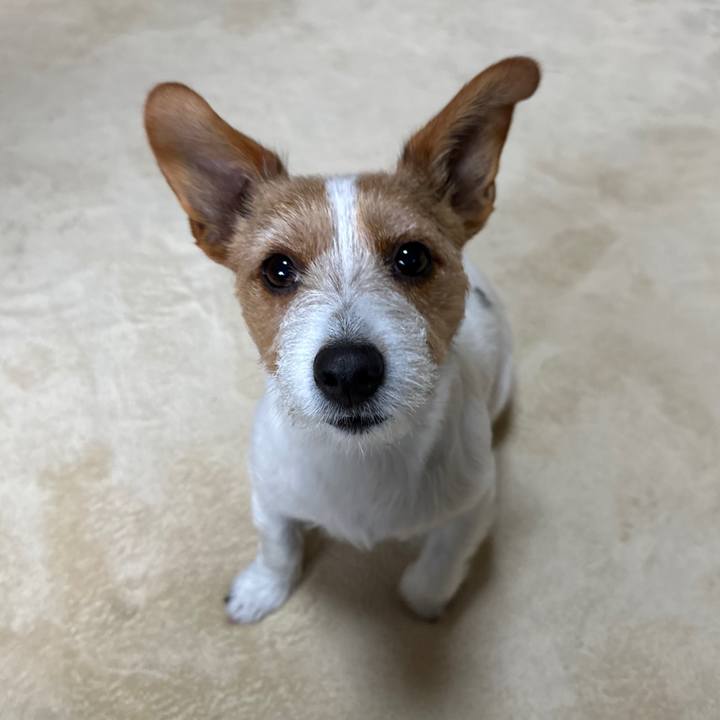 19949152 62cb 413d b398 410b99e1b801 1770776280462