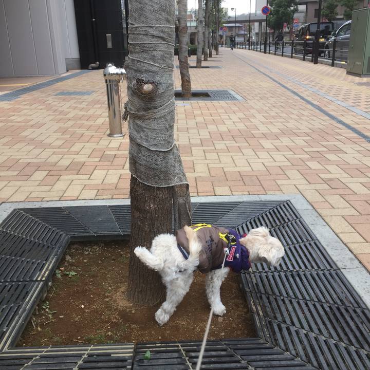 1994917b 2460 49bb a119 91e2b256b80c 1515409244714