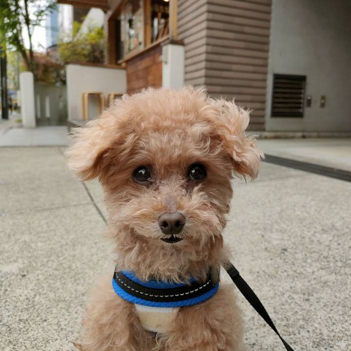 1994cb0a 76ce 4288 a601 52e6cb700e8a 1651198879506