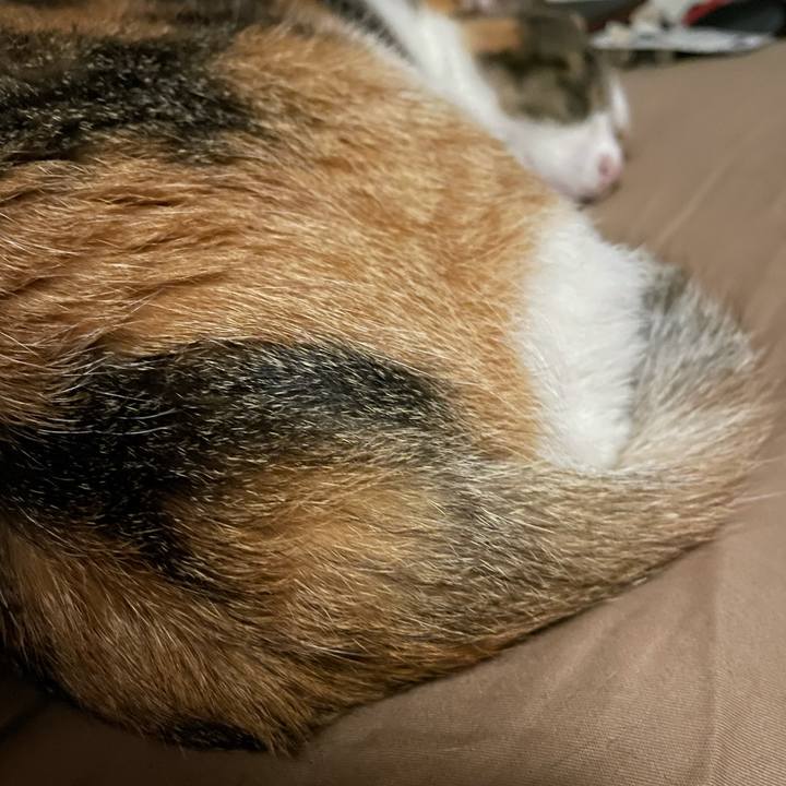 1994ed72 f305 42e1 848e 3a3b4182d3dc 1623940280268