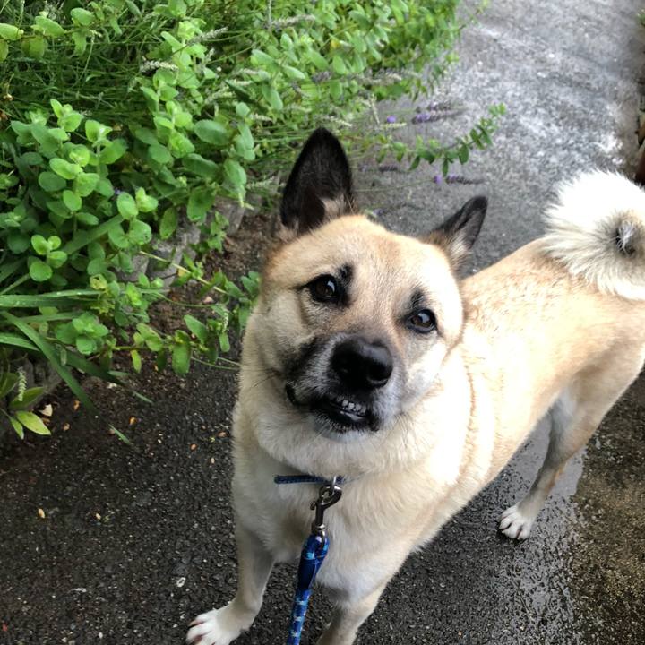 19950e00 671c 4f5d 8c7b f4bca7648440 1623759878170