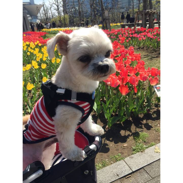 19952136 434b 4b71 97da c989b08cbdeb 1522667454216