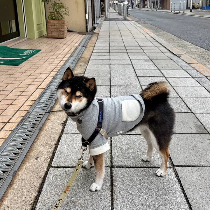 199528bb 0bab 4b14 afa1 89a94bb46fbb 1770557426055