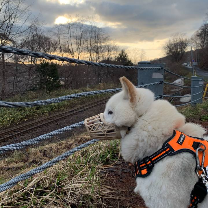 19952e8d a8d0 4a51 ac6a 7d639955b3f8 1618349684261