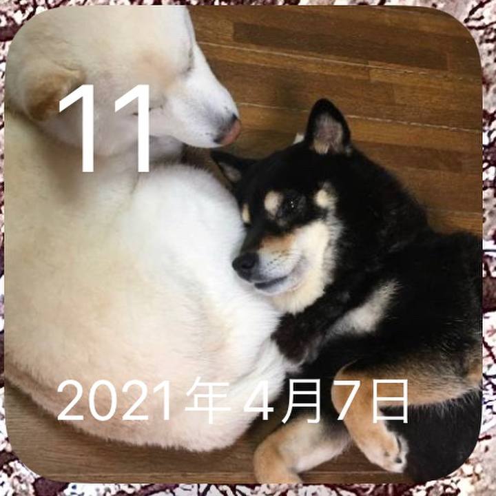 1995309c e6ed 4ec7 abf8 f29ff7e83374 1681168764274