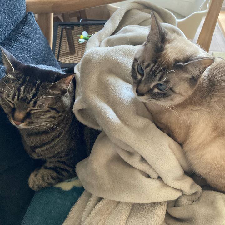 19955077 6d18 4c50 a0b1 b0d92389a6bf 1676191017356