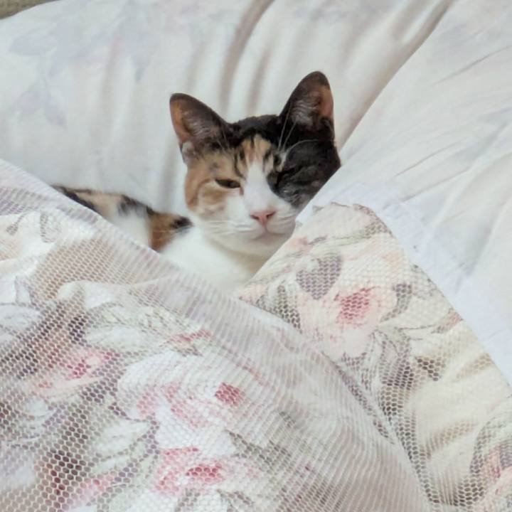 199598a7 54d2 41dd ad16 976c8ec5f242 1762515468360