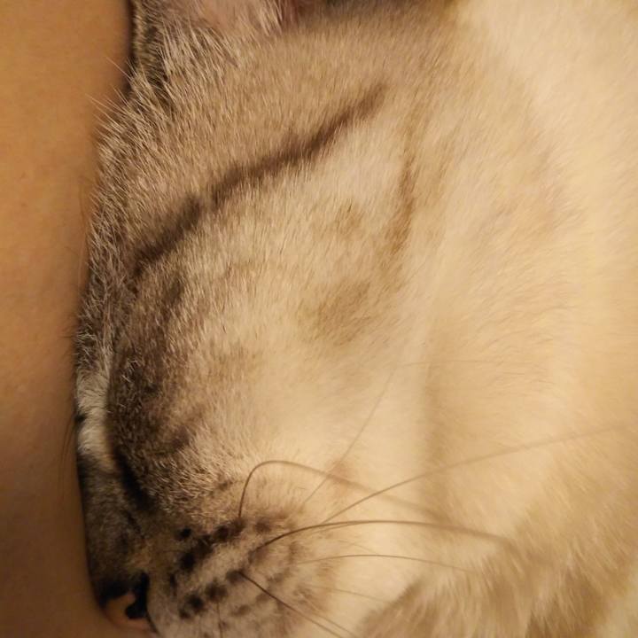 19959d25 067a 4d89 8eed 721608f32e09 1535294914729