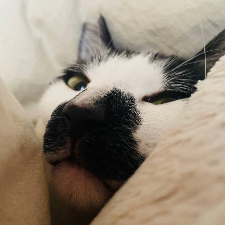 1995b6d0 00af 4f54 b06b 3ee7058ae3d4 1772162229831