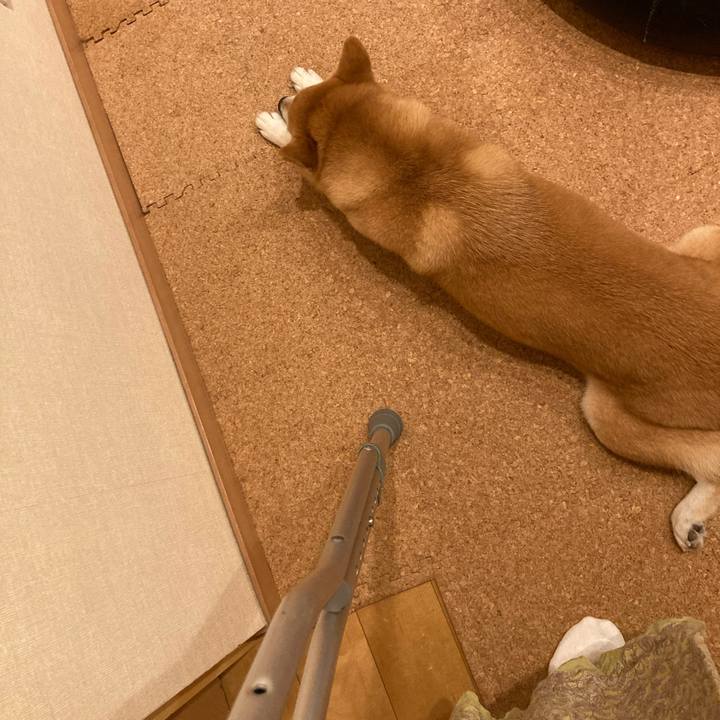 1995b923 421c 4150 8c43 9d6d30f8e0aa 1759881354744