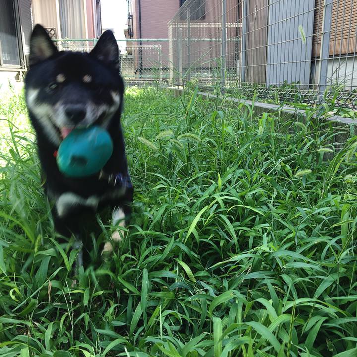 199607bb f531 4b7d a0ae d674edb14872 1534818761043