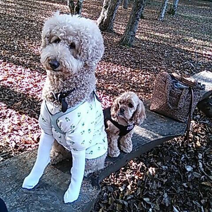 1996225e 543a 4503 a700 48b1eecc3639 1535119138141