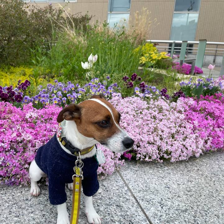 1996368a 2165 4291 8fff 076d65fe6f44 1651372696569