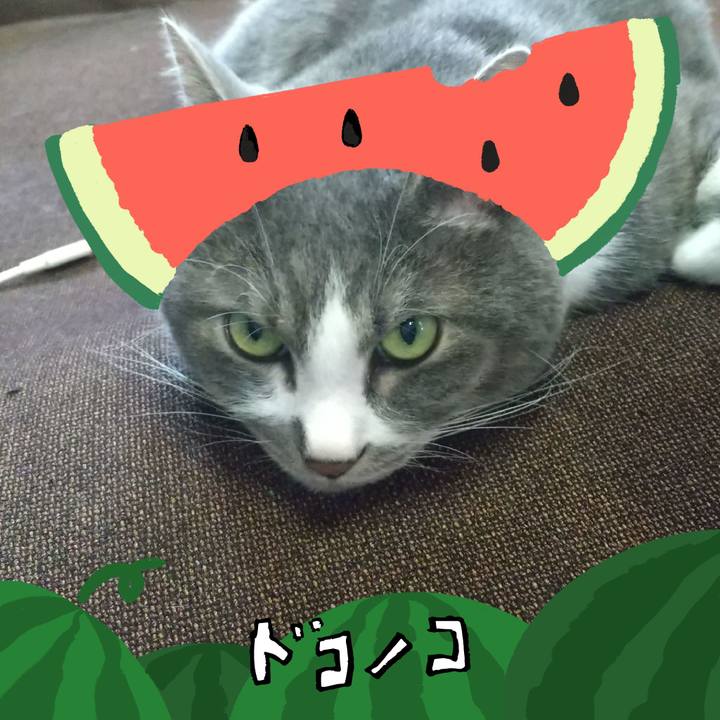 199644dc 7712 4ba0 81f4 a294f642d4cc 1720759688700