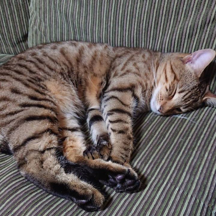 199673e5 552f 43c9 8a29 049ebfdf17ce 1587042800801