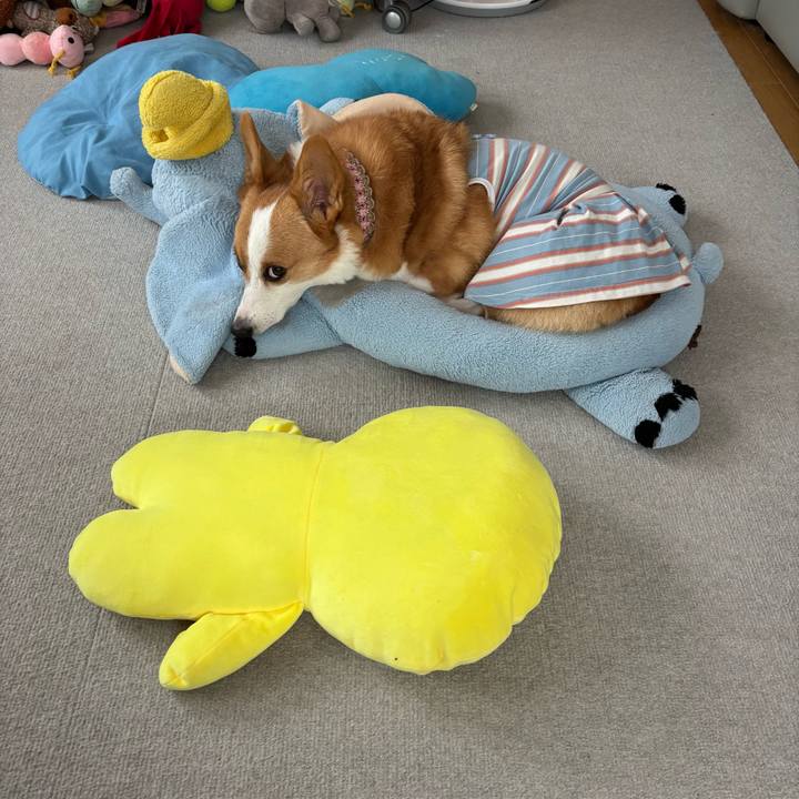 1996753f 92a9 4641 a67a 30323bbb3e7b 1757391016974