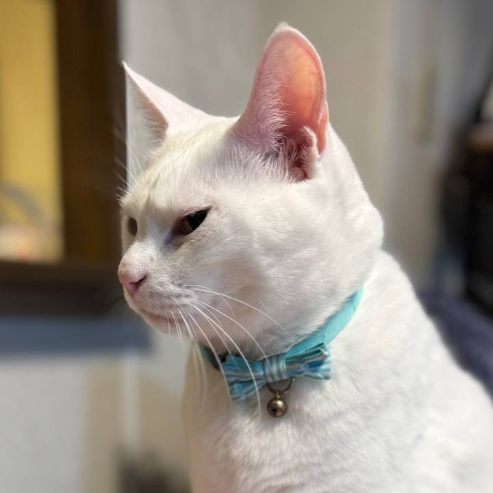 1996a41d d24b 4be9 bea2 176ea921e693 1762343451134