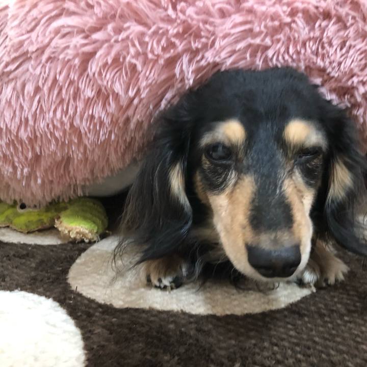 1996b61a 8472 4c27 a999 e73f5af4d9dd 1611026034592