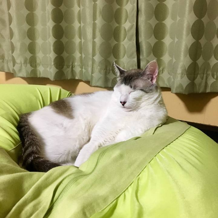 1996ff37 763c 4a33 956a 658578ded6c7 1560172128269