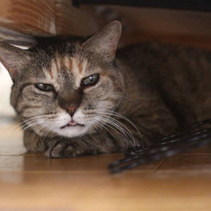 199717d5 b10f 4c61 9f82 d4ec2ef7a6a0 1520256761246