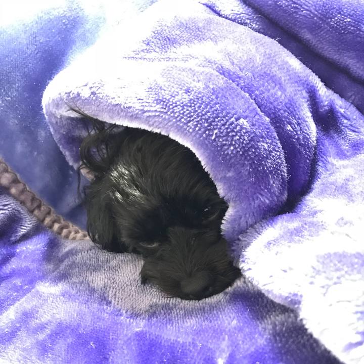 19971de6 2808 45a1 94be 0dfe3b100677 1540121019570