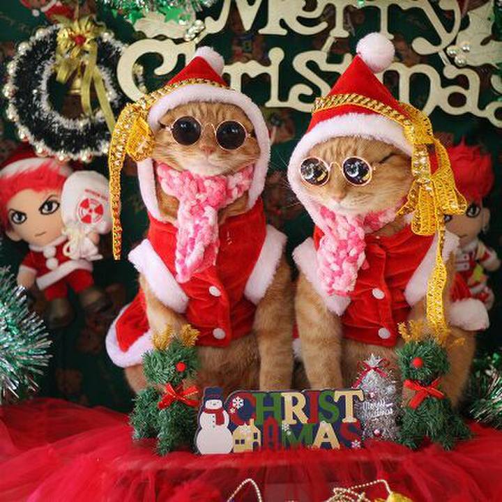 19974344 1f8a 49df be9f ed41bc6db70b 1545543513659