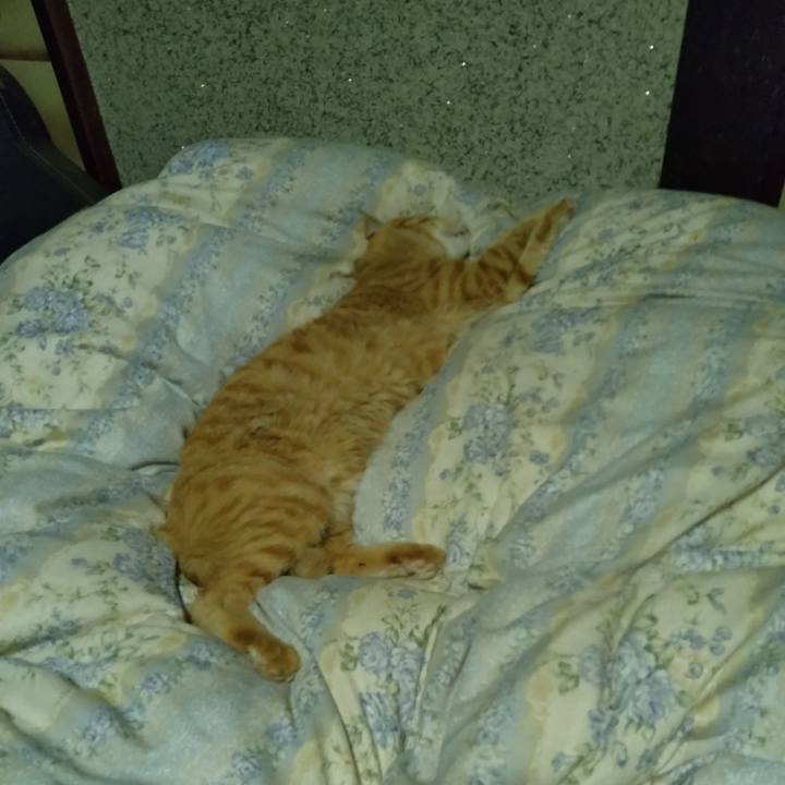 19976a9a d958 4346 adf7 5bc61a46450c 1663503486723