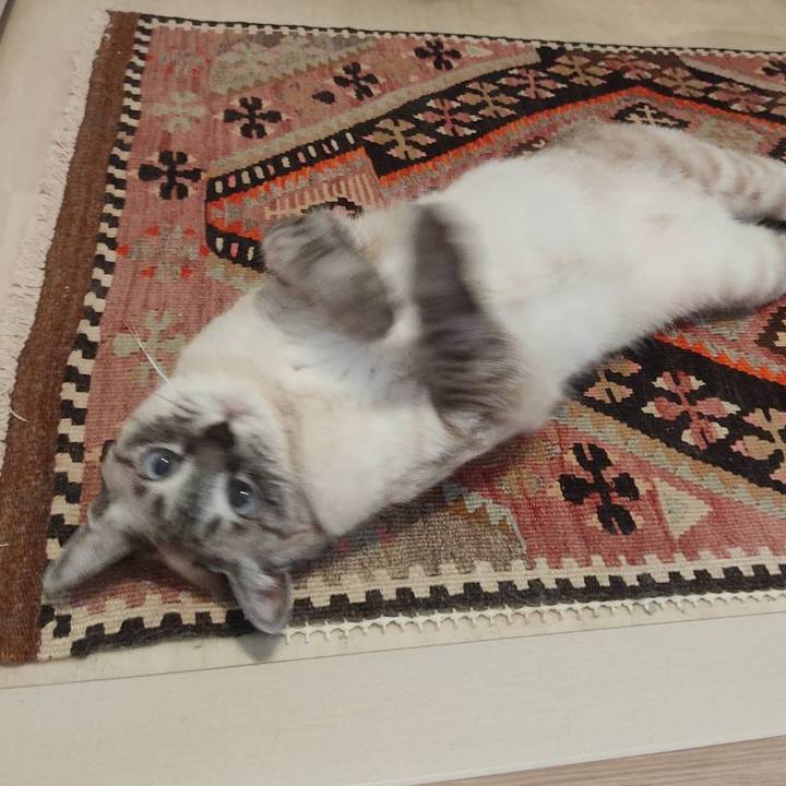 1997a2cb 50bc 43ce a090 5c7963913abd 1623476469594