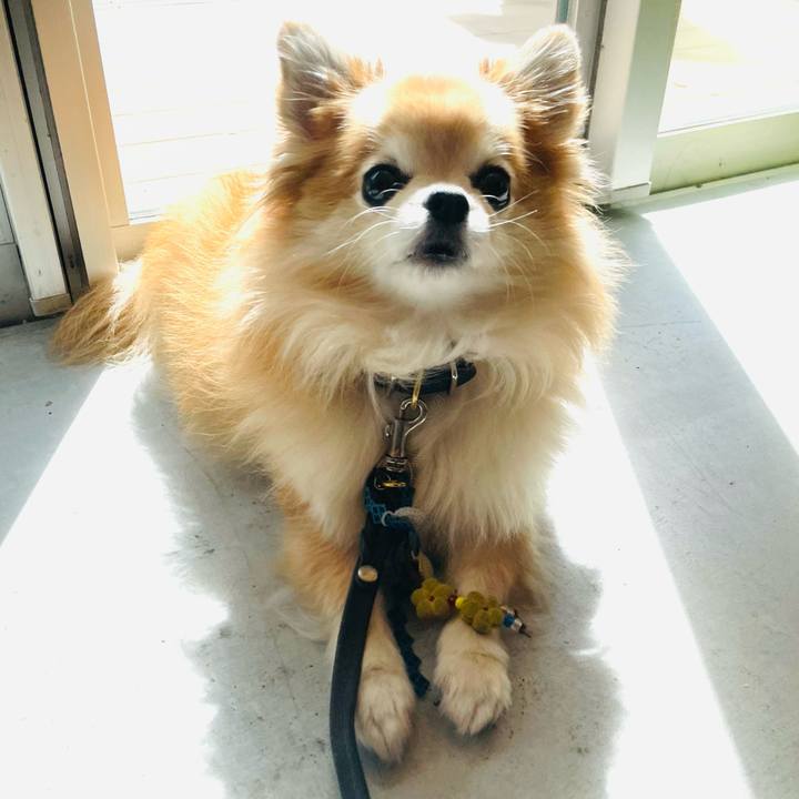 1997a49f 44ad 444c b27c f1eed624085f 1759909871062