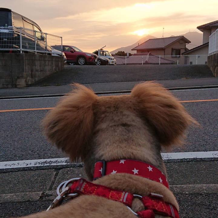 1997a618 b6fc 4f69 8a44 319edda5e583 1568760276104