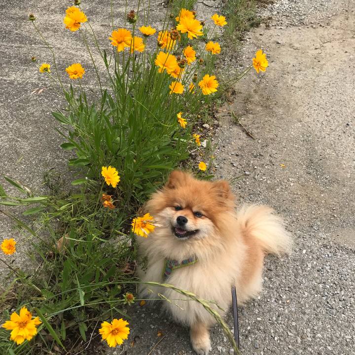 1997e771 0a39 4819 aa67 36b4997dcce2 1526607232479