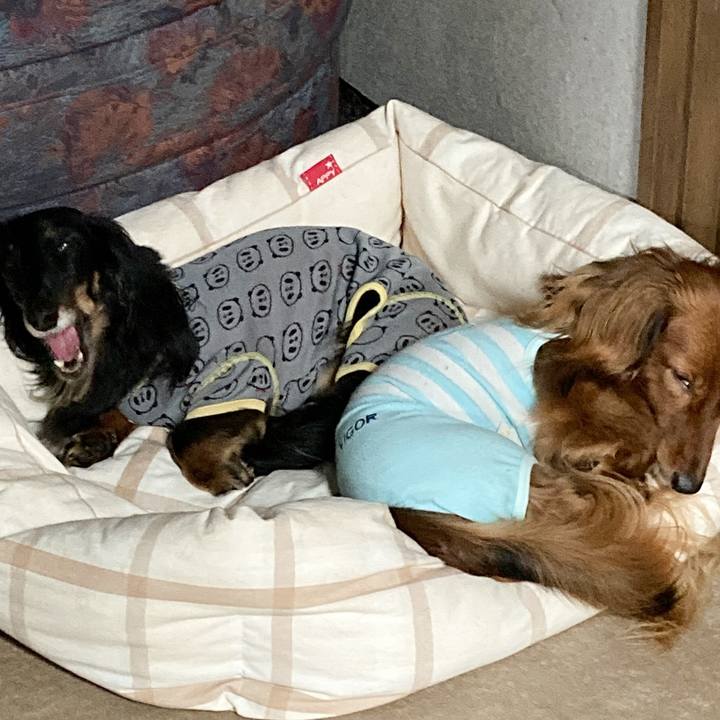 199802b7 cf49 4162 b487 86d142badff1 1753705537430